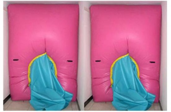 點(diǎn)擊查看詳細(xì)信息<br>標(biāo)題：快速封堵氣囊 閱讀次數(shù)：2729