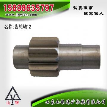 點擊查看詳細信息<br>標題：齒輪軸12 江陰系列配件 閱讀次數(shù)：2222