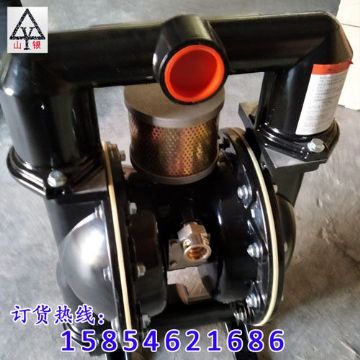 點(diǎn)擊查看詳細(xì)信息<br>標(biāo)題：氣動(dòng)隔膜泵制造銷售售后氣動(dòng)隔膜泵一條龍服務(wù) 閱讀次數(shù)：1661