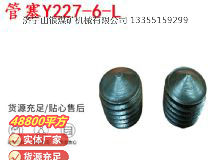 點(diǎn)擊查看詳細(xì)信息<br>標(biāo)題：英格索蘭隔膜泵配件管塞Y227-6-L 閱讀次數(shù)：346