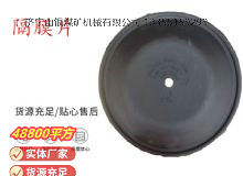 點(diǎn)擊查看詳細(xì)信息<br>標(biāo)題：氣動(dòng)隔膜泵配件-隔膜片 閱讀次數(shù)：275
